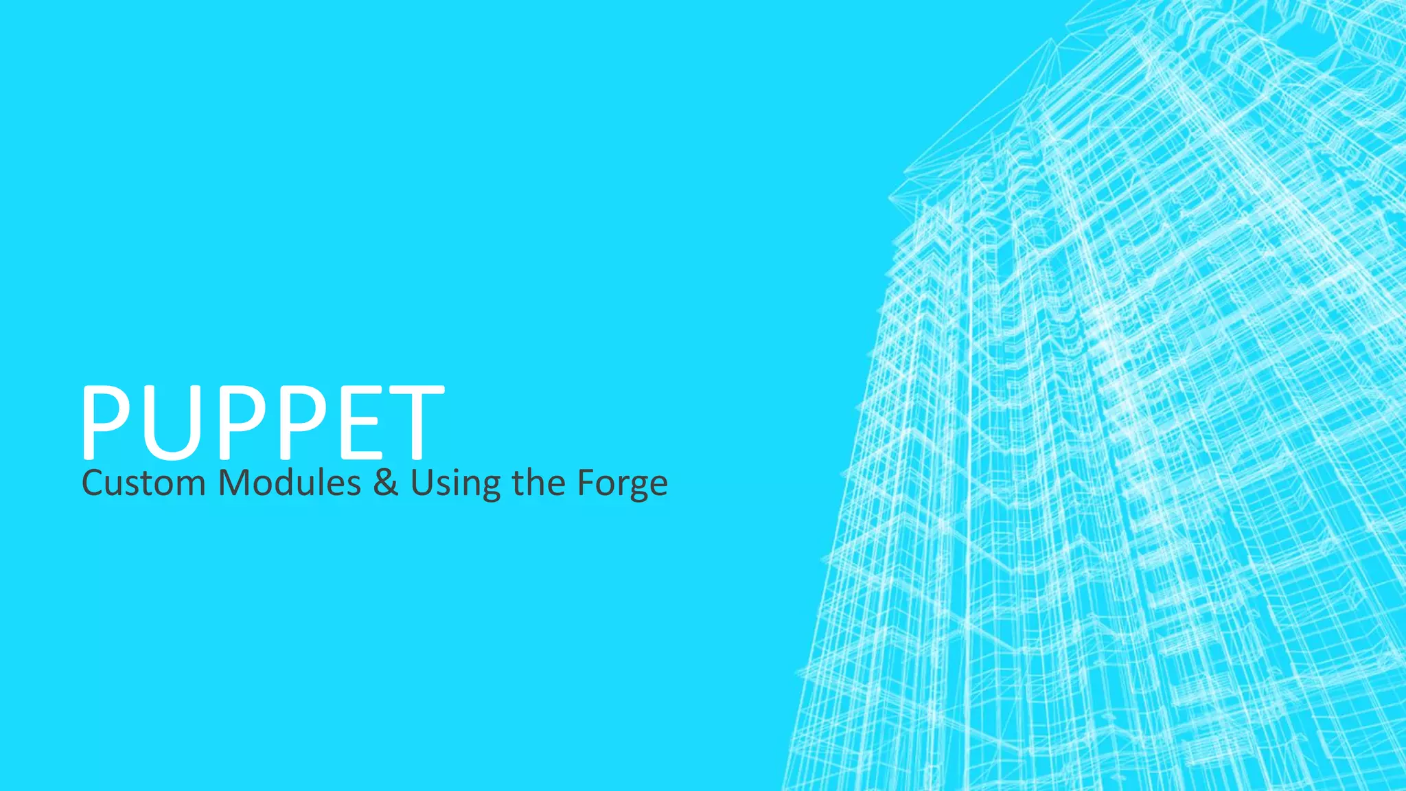 PUPPET

Custom Modules & Using the Forge

 