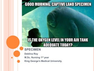 SPECIMEN
Deblina Roy
M.Sc. Nursing 1st year
King George’s Medical University.
 