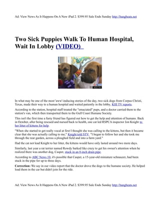 Ad: View News As It Happens On A New iPad 2. $399.95 Sale Ends Sunday http://bangbeats.net




Two Sick Puppies Walk To Human Hospital,
Wait In Lobby (VIDEO)




In what may be one of the most 'aww'-inducing stories of the day, two sick dogs from Corpus Christi,
Texas, made their way to a human hospital and waited patiently in the lobby, KIII TV reports.
According to the station, hospital staff treated the "emaciated" pups, and a doctor carried them to the
station's van, which then transported them to the Gulf Coast Humane Society.
This isn't the first time a furry friend has figured out how to get the help and attention of humans. Back
in October, after being rescued and nursed back to health, one cat led RSPCA inspector Jon Knight to
her litter of kittens for help.
"When she started to get really vocal at first I thought she was calling to the kittens, but then it became
clear that she was actually calling to me," Knight told STV. "I began to follow her and she took me
through the rear garden, across a ploughed field and into a farm yard."
Had the cat not lead Knight to her litter, the kittens would have only lasted around two more days.
Similarly, last year a rat terrier named Rowdy barked like crazy to get his owner's attention when he
realized there was another dog, Casper, stuck in an 8-inch drain pipe.
According to ABC News 10, it's possible that Casper, a 15-year-old miniature schnauzer, had been
stuck in the pipe for up to three days.
Correction: We say in our video report that the doctor drove the dogs to the humane society. He helped
load them in the car but didn't join for the ride.



Ad: View News As It Happens On A New iPad 2. $399.95 Sale Ends Sunday http://bangbeats.net
 