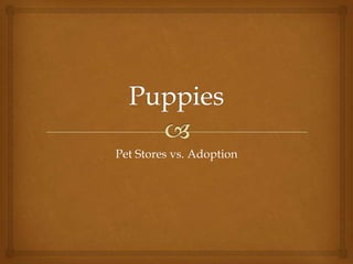 Pet Stores vs. Adoption
 