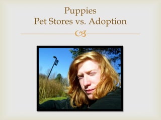 Puppies
Pet Stores vs. Adoption
          
 