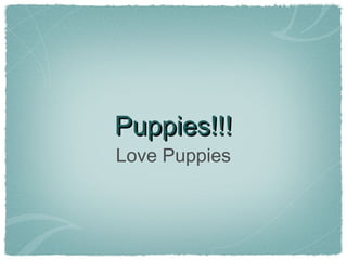 Puppies!!!Puppies!!!
Love Puppies
 