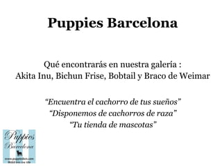 Puppies Barcelona

        Qué encontrarás en nuestra galería :
Akita Inu, Bichun Frise, Bobtail y Braco de Weimar

       “Encuentra el cachorro de tus sueños”
        “Disponemos de cachorros de raza”
             “Tu tienda de mascotas”
 