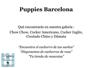 Puppies Barcelona


    Qué encontrarás en nuestra galería :
Chow Chow, Cocker Americano, Cocker Inglés,
         Crestado Chino y Dámata

     “Encuentra el cachorro de tus sueños”
      “Disponemos de cachorros de raza”
           “Tu tienda de mascotas”
 