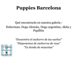 Puppies Barcelona


     Qué encontrarás en nuestra galería :
Doberman, Dogo Alemán, Dogo argentino, Akita y
                  Papillón

      “Encuentra el cachorro de tus sueños”
       “Disponemos de cachorros de raza”
            “Tu tienda de mascotas”
 