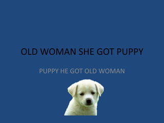 OLD WOMAN SHE GOT PUPPY PUPPY HE GOT OLD WOMAN 