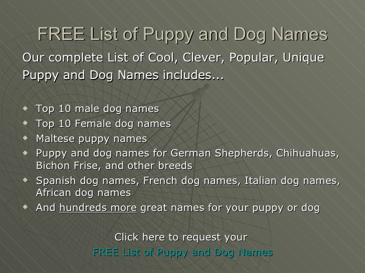 Unique Husky Female Dog Names Unique Husky Female Dog Names