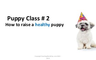 How to raise a healthy puppy
Puppy Class # 2
Copyright YourDogNeedsYou.com 2010 -
2014
 