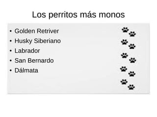 Los perritos más monos
● Golden Retriver
● Husky Siberiano
● Labrador
● San Bernardo
● Dálmata
 