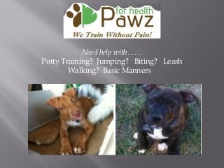 Need help with……
Potty Training? Jumping? Biting? Leash
Walking? Basic Manners
 