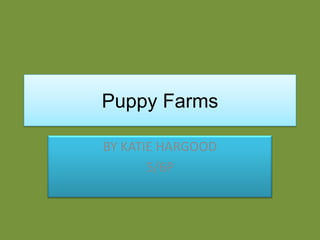 Puppy Farms BY KATIE HARGOOD 5/6P 