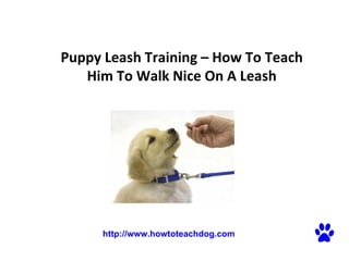 Puppy Leash Training – How To Teach Him To Walk Nice On A Leash http://www.howtoteachdog.com 