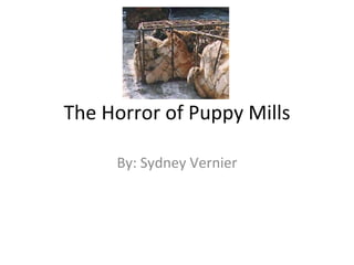 The Horror of Puppy Mills By: Sydney Vernier 