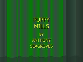 PUPPY
 MILLS
   BY
 ANTHONY
SEAGROVES
 