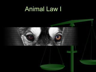 Animal Law I 