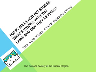 The humane society of the Capital Region
 