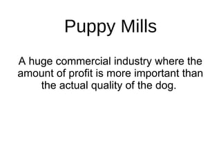 Puppy Mills ,[object Object]