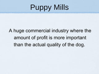 Puppy Mills ,[object Object]