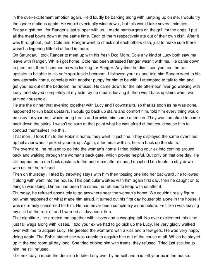 Puppy Mill Surivor_ Cole's Story The Return