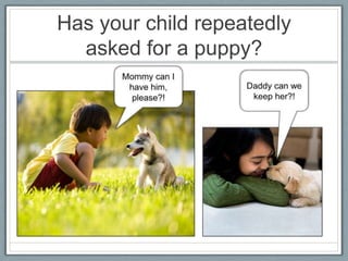 Has your child repeatedly
  asked for a puppy?
 