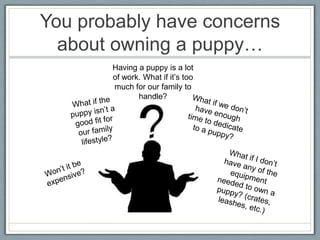 You probably have concerns
  about owning a puppy…
       Having a puppy is a lot
       of work. What if it’s too
       much for our family to
              handle?
 
