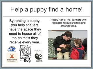Help a puppy find a home!
                       Puppy Rental Inc. partners with
By renting a puppy,     reputable rescue shelters and
  you help shelters            organizations.
have the space they
need to house all of
  the animals they
 receive every year.
 