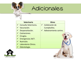 Adicionales
Veterinaria Otros
 Consulta Veterinaria.
 Vacunación.
 Desparasitación.
 Castraciones.
 Cirugías.
 Emergencias 24/7.
 Nutrición.
 Laboratorio Clínico.
 Odontología.
 Celebración de
Cumpleaños.
 Adiestramiento canino.
 