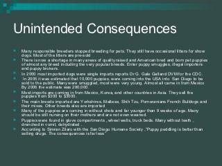 Unintended Consequences
   Many responsible breeders stopped breeding for pets. They still have occasional litters for sh...