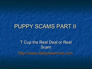 PUPPY SCAMS PART II

  T Cup the Real Deal or Real
             Scam
 http://www.delayrekennel.com
 