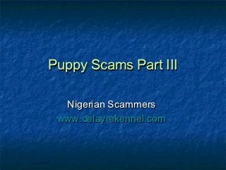 Puppy Scams Part III

  Nigerian Scammers
 www.delayrekennel.com
 