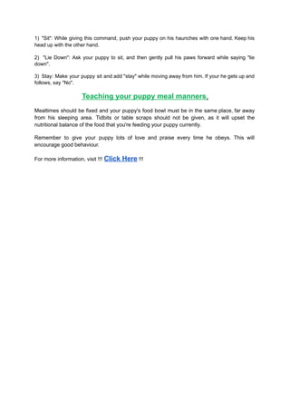 PUPPY TRAINING | PDF