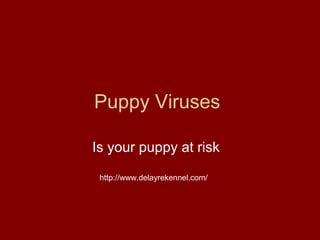 Puppy Viruses

Is your puppy at risk

 http://www.delayrekennel.com/
 