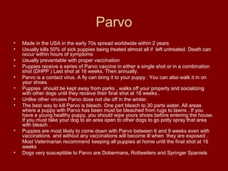 Parvo
•   Made in the USA in the early 70s spread worldwide within 2 years
•   Usually kills 50% of sick puppies being tre...