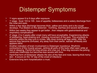 Distemper Symptoms
•   1st signs appear 6 to 9 days after exposure
•   1st stage : fever 103 to 105 , loss of appetite, li...
