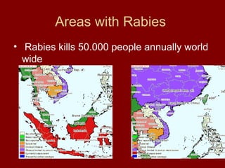 Areas with Rabies
• Rabies kills 50.000 people annually world
  wide
 