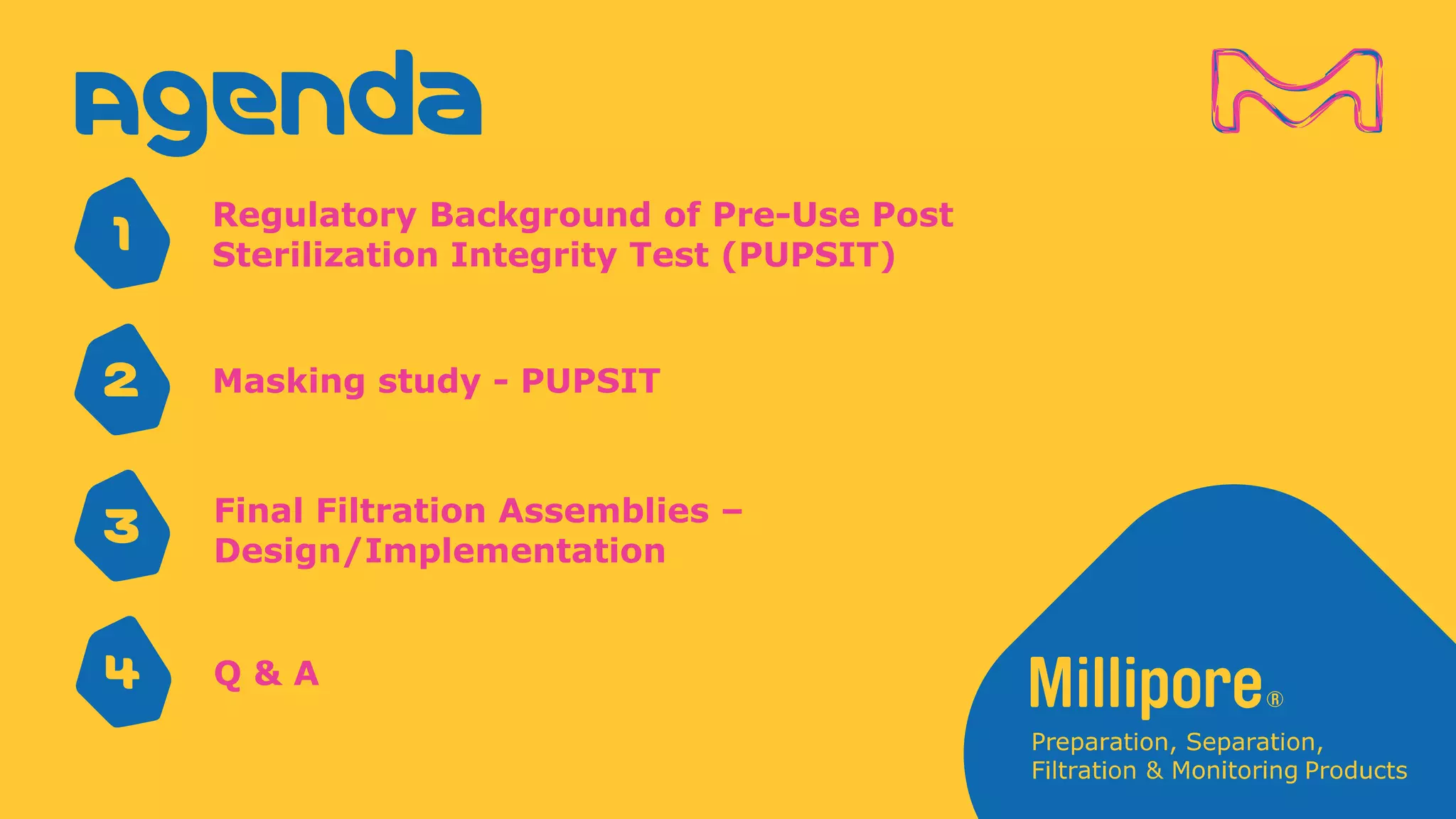 Agenda
1
2
3
Regulatory Background of Pre-Use Post
Sterilization Integrity Test (PUPSIT)
Masking study - PUPSIT
Final Filtration Assemblies –
Design/Implementation
4 Q & A
 