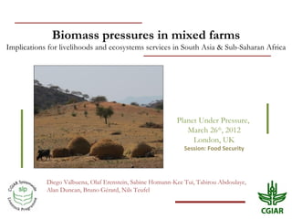 Biomass pressures in mixed farms
Implications for livelihoods and ecosystems services in South Asia & Sub-Saharan Africa




                                                           Planet Under Pressure,
                                                              March 26th, 2012
                                                                London, UK
                                                              Session: Food Security




            Diego Valbuena, Olaf Erenstein, Sabine Homann-Kee Tui, Tahirou Abdoulaye,
            Alan Duncan, Bruno Gérard, Nils Teufel
 
