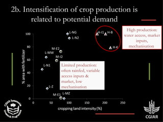 Biomass pressures in mixed farms: Implications for livelihoods and ecosystems services in South Asia & Sub-Saharan Africa