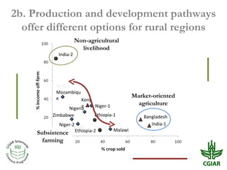 Biomass pressures in mixed farms: Implications for livelihoods and ecosystems services in South Asia & Sub-Saharan Africa