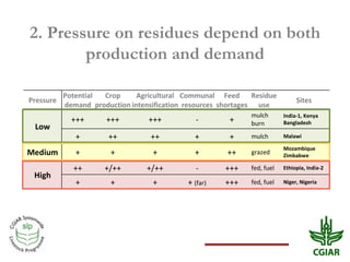 Biomass pressures in mixed farms: Implications for livelihoods and ecosystems services in South Asia & Sub-Saharan Africa