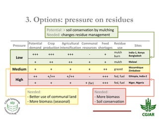 Biomass pressures in mixed farms: Implications for livelihoods and ecosystems services in South Asia & Sub-Saharan Africa