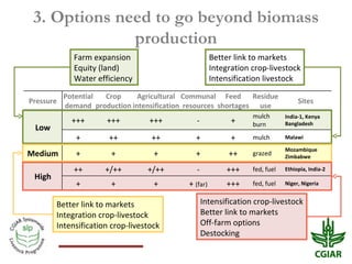 Biomass pressures in mixed farms: Implications for livelihoods and ecosystems services in South Asia & Sub-Saharan Africa