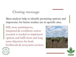 Biomass pressures in mixed farms: Implications for livelihoods and ecosystems services in South Asia & Sub-Saharan Africa