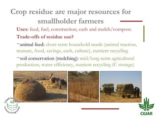 Crop residue are major resources for
        smallholder farmers
 Uses: feed, fuel, construction, cash and mulch/compost.
...