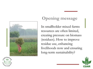 Biomass pressures in mixed farms: Implications for livelihoods and ecosystems services in South Asia & Sub-Saharan Africa