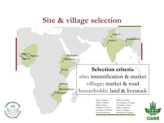 Biomass pressures in mixed farms: Implications for livelihoods and ecosystems services in South Asia & Sub-Saharan Africa
