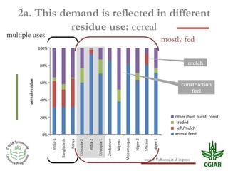 Biomass pressures in mixed farms: Implications for livelihoods and ecosystems services in South Asia & Sub-Saharan Africa