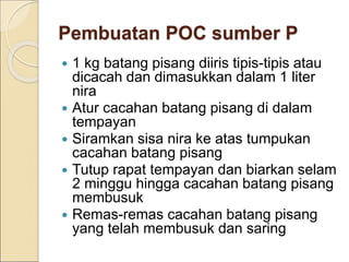 Pembuatan POC sumber P
 1 kg batang pisang diiris tipis-tipis atau
dicacah dan dimasukkan dalam 1 liter
nira
 Atur cacahan batang pisang di dalam
tempayan
 Siramkan sisa nira ke atas tumpukan
cacahan batang pisang
 Tutup rapat tempayan dan biarkan selam
2 minggu hingga cacahan batang pisang
membusuk
 Remas-remas cacahan batang pisang
yang telah membusuk dan saring
 