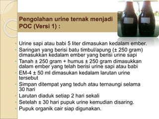 Pengolahan urine ternak menjadi
POC (Versi 1) :
◦ Urine sapi atau babi 5 liter dimasukan kedalam ember.
◦ Saringan yang berisi batu timbul/apung (± 250 gram)
dimasukkan kedalam ember yang berisi urine sapi
◦ Tanah ± 250 gram + humus ± 250 gram dimasukkan
dalam ember yang telah berisi urine sapi atau babi
◦ EM-4 ± 50 ml dimasukan kedalam larutan urine
tersebut
◦ Simpan ditempat yang teduh atau ternaungi selama
30 hari
◦ Larutan diaduk setiap 2 hari sekali
◦ Setelah ± 30 hari pupuk urine kemudian disaring.
◦ Pupuk organik cair siap digunakan.
 