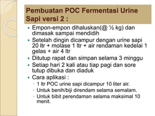 Pembuatan POC Fermentasi Urine
Sapi versi 2 :
 Empon-empon dihaluskan(@ ½ kg) dan
dimasak sampai mendidih
 Setelah dingin dicampur dengan urine sapi
20 ltr + molase 1 ltr + air rendaman kedelai 1
gelas + air 4 ltr
 Ditutup rapat dan simpan selama 3 minggu
 Setiap hari 2 kali atau tiap pagi dan sore
tutup dibuka dan diaduk
 Cara aplikasi :
◦ 1 ltr POC urine sapi dicampur 10 liter air.
◦ Untuk benih/biji direndam selama semalam.
◦ Untuk bibit perendaman selama maksimal 10
menit.
 
